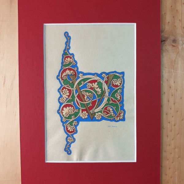 Lettre V enlumin&eacute;e  "vigne blanche"